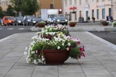 В центре Пскова установили вазоны с цветами