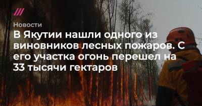 В Якутии нашли одного из виновников лесных пожаров. С его участка огонь перешел на 33 тысячи гектаров