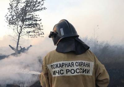 Пожар на свалке в Клепиковском районе снова потушили