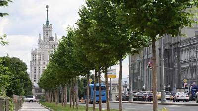Москва вошла в топ-3 регионов по рейтингу Greenpeace с актуальной «зеленой» повесткой
