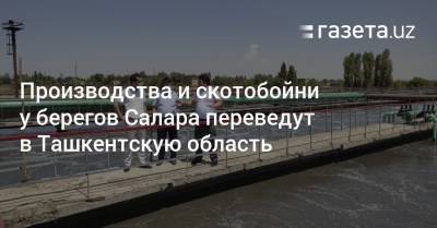 Производства и скотобойни у берегов Салара переведут в Ташкентскую область