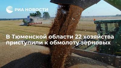 В Тюменской области 22 хозяйства приступили к обмолоту зерновых