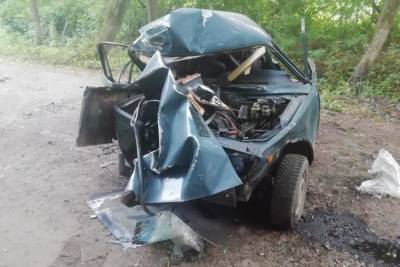 В Мичуринском районе легковушка врезалась в дерево: пострадал 17-летний водитель