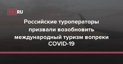 Российские туроператоры призвали возобновить международный туризм вопреки COVID-19
