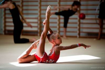 В костромском Мантурове будут воспитывать чемпионов по гимнастике