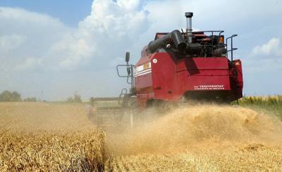 Одиозный законопроект №5600: бизнес загоняют в «тень», фермеров сгоняют с земли (Апостроф, Украина)