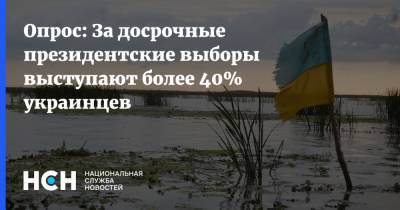 Опрос: За досрочные президентские выборы выступают более 40% украинцев