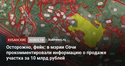 Осторожно, фейк: в мэрии Сочи прокомментировали информацию о продаже участка за 10 млрд рублей