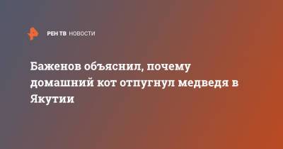 Баженов объяснил, почему домашний кот отпугнул медведя в Якутии