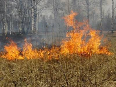 В Ульяновске и трёх районах области тушили сухую траву