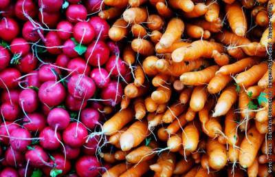 В Думе предложили подключить Минтранс к решению проблемы цен на овощи