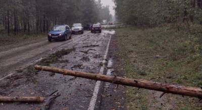 Отключение света, пожары, скопление воды на дорогах и поваленные деревья: последствия шквалистого ветра в Чебоксарах - pg21.ru - Чебоксары - Южный