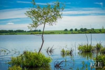 Самое большое сибирское болото в мире станет центром экотуризма