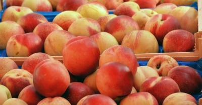 Импорт персиков в Украину в три раза превышает собственное производство — эксперт
