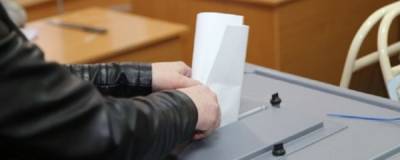 Эксперты ответили на запрос горожан на независимую оценку выборов в Петербурге