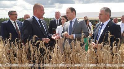 Заяц: Могилевская область ставит высокие цели на уборочную - собрать не менее 1 млн т урожая