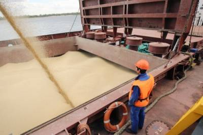 Минсельхоз: РФ с 1 по 29 июля снизила экспорт зерна почти на 40%