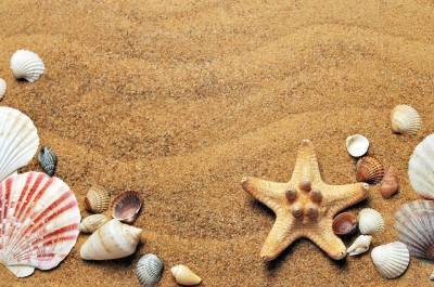 Сохранить жизнь и здоровье: как вести себя на пляже