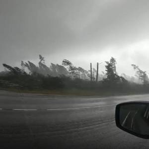 В Беларуси авто с туристами из Китая едва не завалило деревьями, вырванными ураганом. Видео