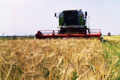 В России ожидают богатый урожай: но цены на продовольствие будут расти