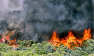 В Греции жуткие пожары уничтожили 200 домов