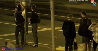 В Калининграде вандалы разрисовали остановки и дорожные знаки, их сняли камеры «Безопасного города» (видео)