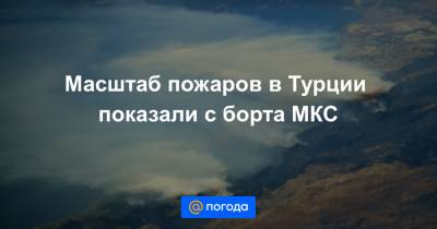 Масштаб пожаров в Турции показали с борта МКС