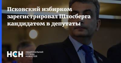 Псковский избирком зарегистрировал Шлосберга кандидатом в депутаты