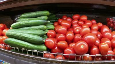 Минсельхоз: урожай овощей позволит обеспечить стабильные цены на них