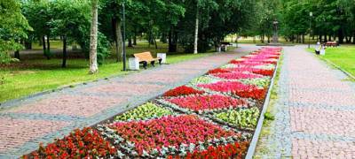 Более 220 тысяч цветов украсили этим летом улицы Петрозаводска