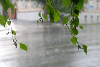 Синоптик предупредила об опасных погодных явлениях в некоторых регионах Украины