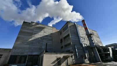 Питкярантский целлюлозный завод в Карелии остановят из-за модернизации