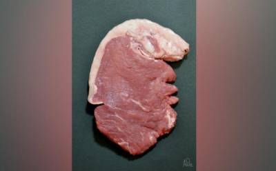 Испанский художник выиграл конкурс карикатур с фотографией мяса