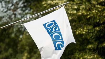 ОБСЕ решило не направлять наблюдателей на выборы в Госдуму РФ