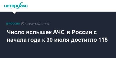 Число вспышек АЧС в России с начала года к 30 июля достигло 115