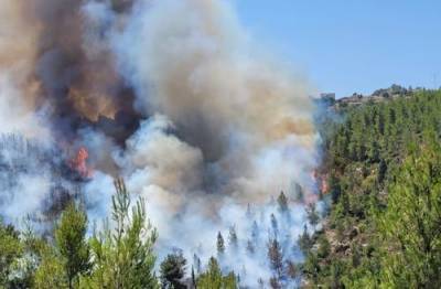 Природные пожары охватили Грецию