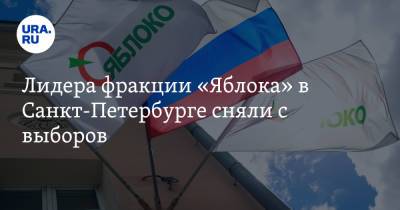 Лидера фракции «Яблока» в Санкт-Петербурге сняли с выборов
