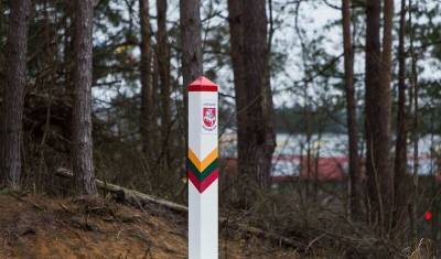 Белорусский Следком возбудил уголовное дело об убийстве мигранта на литовской границе