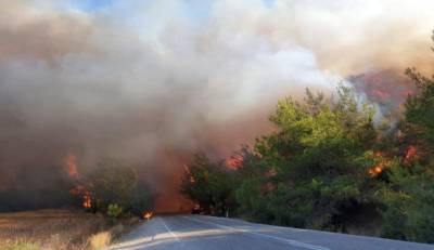 167 лесных пожаров в Турции локализованы - министр
