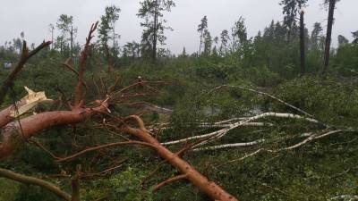 Ураган в Беларуси за несколько мгновений уничтожил лес и изувечил здания