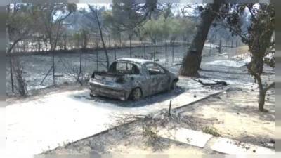Сгорели "легкие" Аттики: лесные пожары в Греции