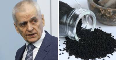 Онищенко оценил идею использования чёрного тмина для лечения ковида