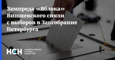 Зампреда «Яблока» Вишневского сняли с выборов в Заксобрание Петербурга