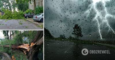 Ураган в Венгрии валил деревья: фото последствий и рассказ очевидцев