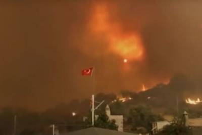 В Турции из-за лесного пожара загорелась ТЭС