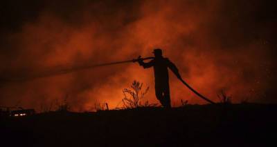 В Турции из-за лесного пожара загорелась электростанция – видео