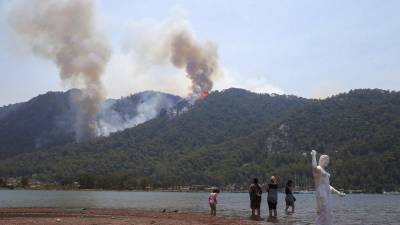 Лесные пожары в Турции добрались до ТЭЦ в городе Миляс