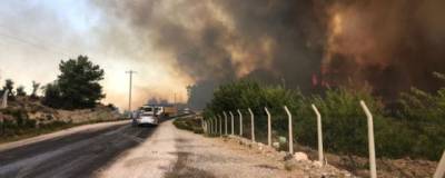 В Турции произошло возгорание тепловой электростанции из-за лесного пожара
