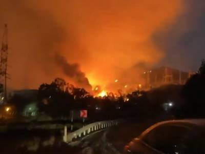 Лесной пожар в Турции достиг теплоэлектростанции, персонал эвакуировался