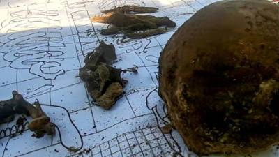 В Карелии обнаружили новые свидетельства зверств финнов во время войны